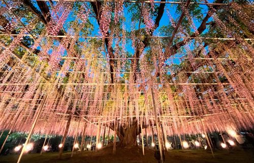 Art Fair: VIP registration for 5,000 guests, 15 years running
